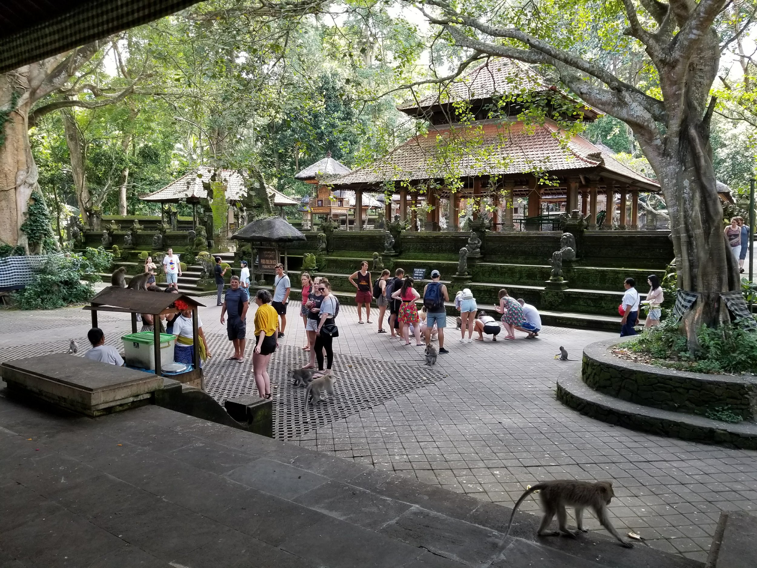 Monkey Forest Mandala Suci Wanara Wana Temple